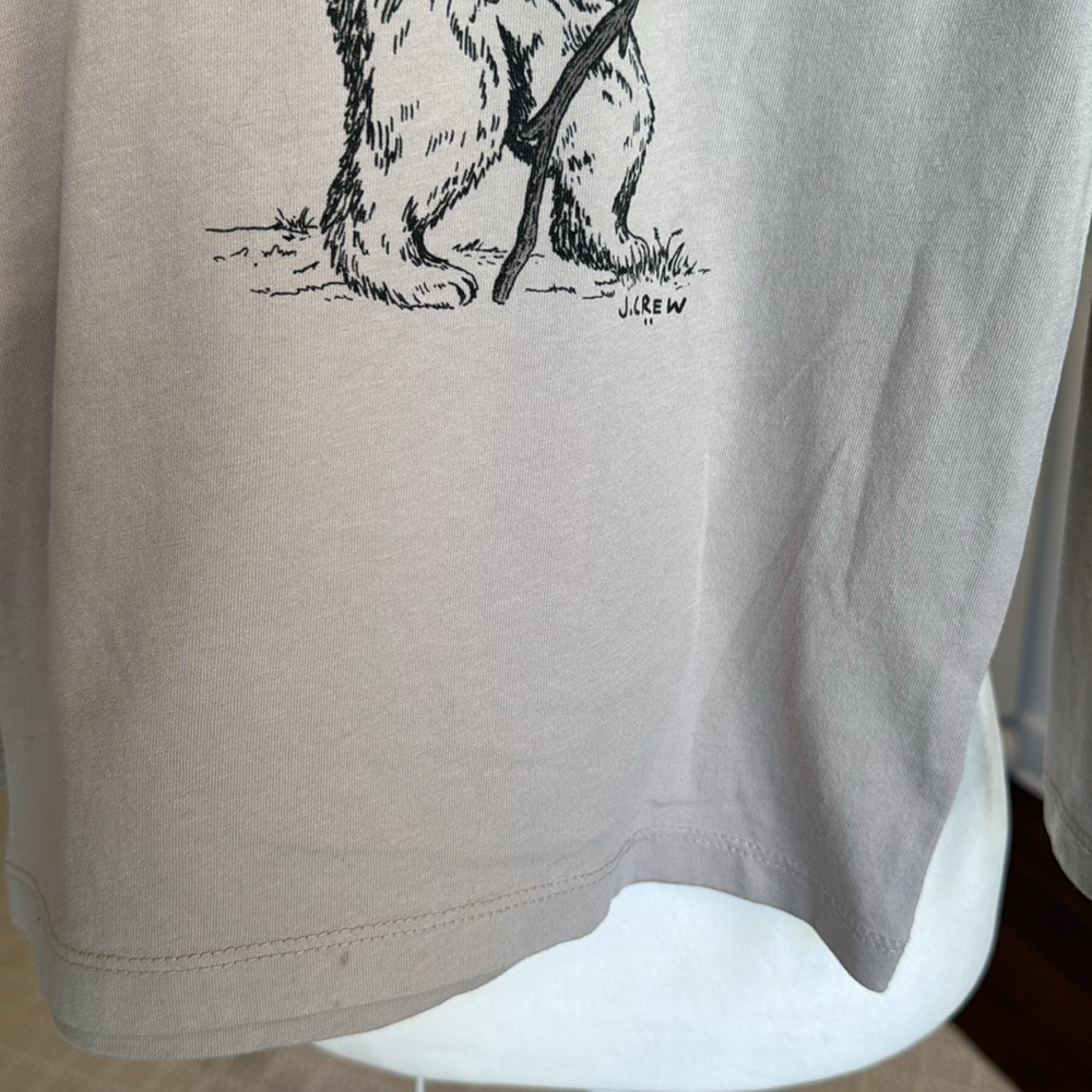 Crewcuts - Boys’ Hiking Bear Long Sleeve Graphic Tee - Size: XS (4-5) - Picture 6 of 10